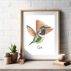 hummingbird art print